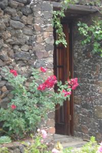 A garden outside Casa Rural Aborigen Bimbache