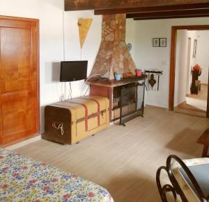 A television and/or entertainment centre at Casa Rural Aborigen Bimbache