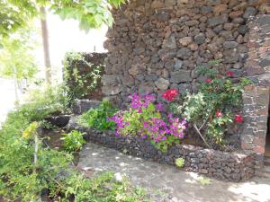 A garden outside Casa Rural Aborigen Bimbache