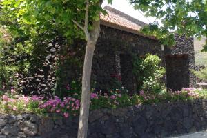 A garden outside Casa Rural Aborigen Bimbache