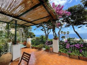 Una pérgola con flores y plantas. en TERRAZZA Marina Piccola, en Capri