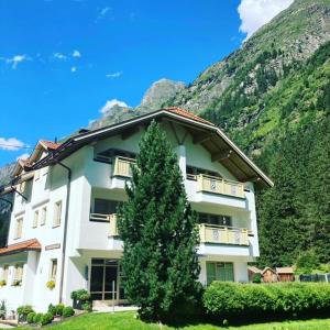 a building with a tree in front of a mountain at Ronalds Appartements in Sankt Leonhard im Pitztal