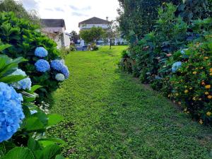 uma fila de hortênsias azuis num jardim em Arrivillage em Arrifes
