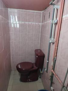 La salle de bains est pourvue de toilettes brunes. dans l'établissement Reeniy Homestay Mersing, à Mersing