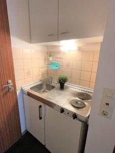 eine kleine Küche mit einer Spüle und einer Theke in der Unterkunft Apartment All you need in Göttingen