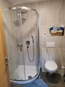 una cabina de ducha en un baño con inodoro en Vila Marija Zlatibor - Apartman 2, en Zlatibor 44 fotos más