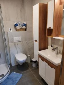 Un baño con inodoro, lavabo y ducha. en Vila Marija Zlatibor - Apartman 2, en Zlatibor