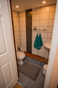 Koupelna v ubytování Hiiemäe Puhkemaja