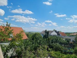 een uitzicht vanaf het dak van een gebouw bij Ferienwohnungen Ödenburgerhof in Mörbisch am See