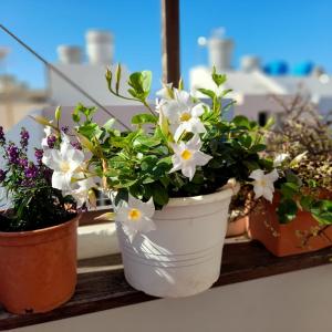 Kép Casa Flores szállásáról Arrecifében a galériában