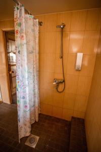 Koupelna v ubytování Hiiemäe Puhkemaja