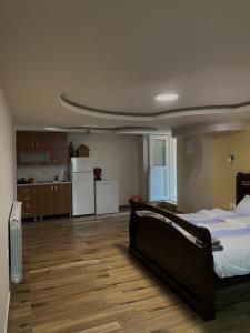 Apartments & Camp Stanišić في نيكشيتش: غرفة كبيرة بها سرير ومطبخ