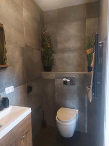 a bathroom with a toilet and plants on the wall at Jacuzzi huisje De Berenshoeve in Emmen