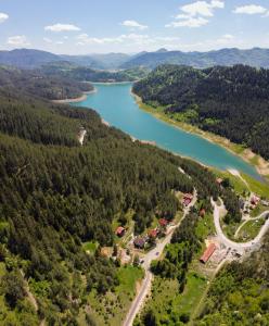 an aerial view of a river and forests at Apartman Sunčana dolina, Zaovine in Zaovine