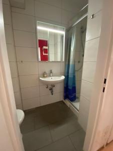 un bagno bianco con lavandino e doccia di Vida Real Estate Nürnberg a Norimberga Altre 21 foto