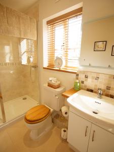 łazienka z toaletą i umywalką w obiekcie Walwyn Court Barns w mieście Ledbury