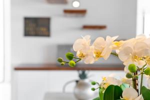 Fotografie z fotogalerie ubytování Villa Mar Felostal v destinaci Palma de Mallorca