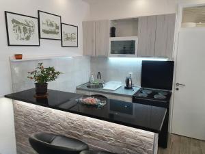 a kitchen with a counter with a sink and a stove at Studio Milenic in Trebinje