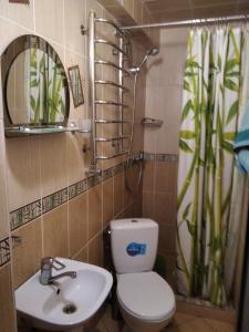 uma casa de banho com um WC, um lavatório e um espelho. em Тушер em Rakhiv