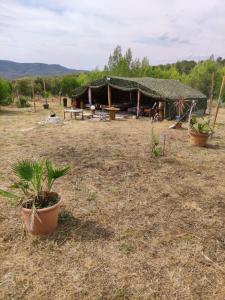 Cabane de l’orient