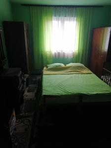 a green bedroom with a bed and a window at Etno Kuca Badejevic in Plavna