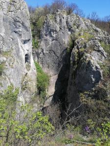 Náttúran í nágrenni sumarhússins