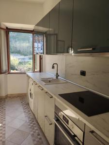 a kitchen with a sink and a counter top at La Casa di Principino in Giglio Porto