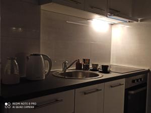 - un comptoir de cuisine avec évier et lumière dans l'établissement Apartman CENTAR NEVA, à Trebinje