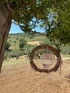 Fotografie z fotogalerie ubytování Casale Cialifone v destinaci Alanno