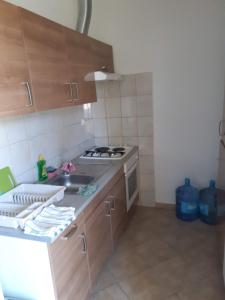 Kuchyňa alebo kuchynka v ubytovaní UDIČARSKI DOM UŠĆE