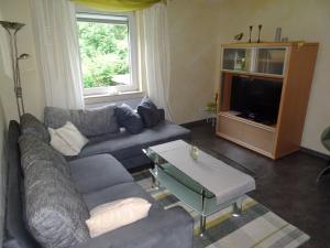 ein Wohnzimmer mit einem Sofa und einem TV in der Unterkunft Apartment close to hiking and cycling trails in Lambertsberg