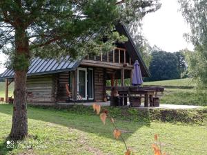 a log cabin with a picnic table and an umbrella at KUNDZINIŠĶI in Leitāni +17 photos