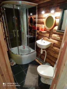 een badkamer met een douche, een toilet en een wastafel bij KUNDZINIŠĶI in Leitāni