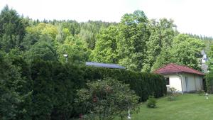 Zahrada ubytování Apartmán Kraslice