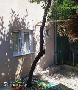 Το κτήριο όπου στεγάζεται  το διαμέρισμα