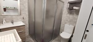 a bathroom with a shower and a toilet and a sink at Huelintown in Málaga