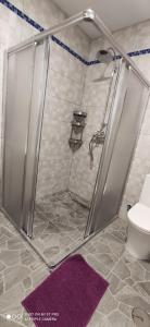a bathroom with a shower with a toilet and a purple rug at Huelintown in Málaga