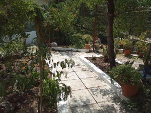 Vonkajšia záhrada v ubytovaní Akis Garden