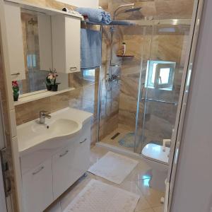 een badkamer met een douche, een wastafel en een toilet bij Villat Pqrku i Lqenit in Orllan