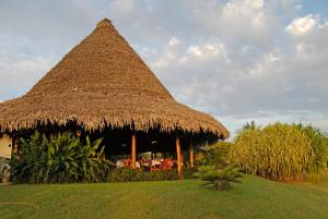 Κήπος έξω από το Guacamaya Lodge