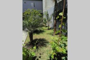 Gallery image of Departamento las palmas in Rosarito