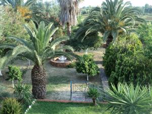 Gallery image of Anastasis Apartments in Trapezaki