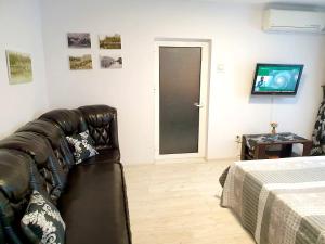 ein Wohnzimmer mit einem Ledersofa und einem TV in der Unterkunft Apartament Dor de Delta Sulina in Sulina
