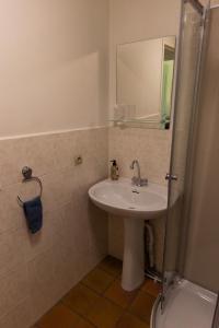 a bathroom with a sink and a mirror and a shower at La Maison de Dame Holda in Tanville