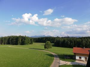 Příroda nedaleko apartmánu