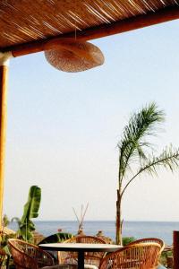 una mesa con sillas y una palmera en la playa en Hotel Ionian, en Dhërmi