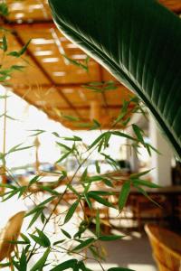 Fotografie z fotogalerie ubytování Hotel Ionian v destinaci Dhërmi