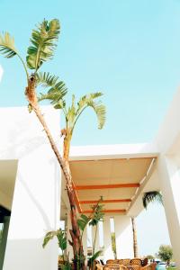 Fotografie z fotogalerie ubytování Hotel Ionian v destinaci Dhërmi