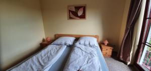 two twin beds in a room with a window at Ferienwohnung groß in Lütow