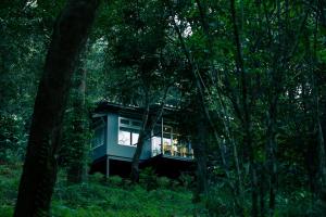 a tree house in the middle of the forest at Wayanad Wild - Rainforest Lodge by CGH Earth in Vythiri